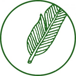 Green_feather
