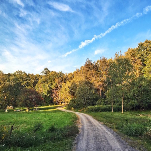 Processed with Snapseed.